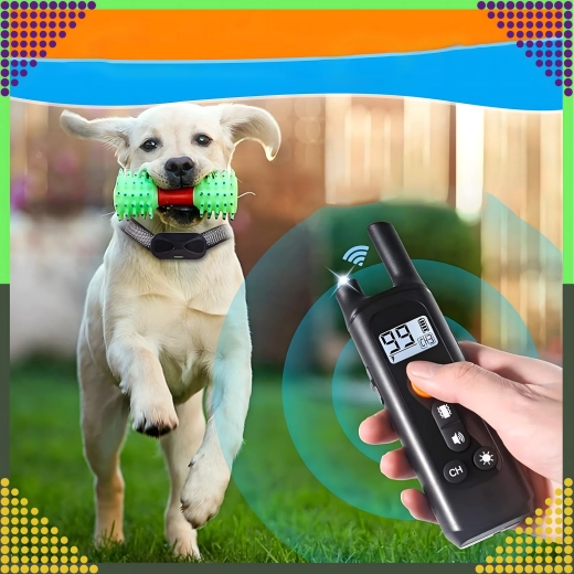 Doseg do 800 m za zanesljiv trening