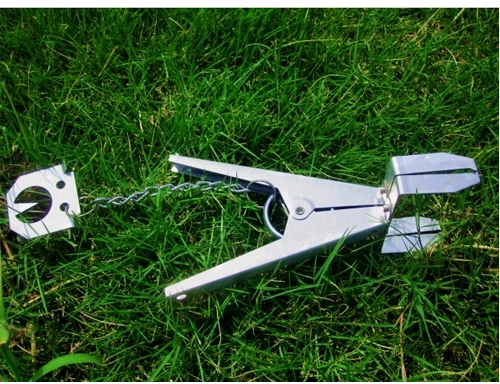 Pasta za krte iz nerjavečega jekla 19 × 9,7 cm