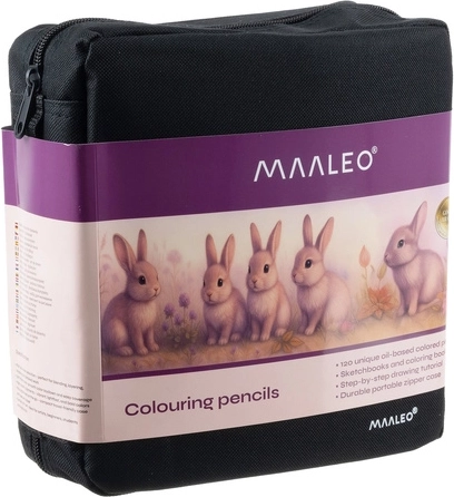 Eleganten organiziran etui na zadrgo