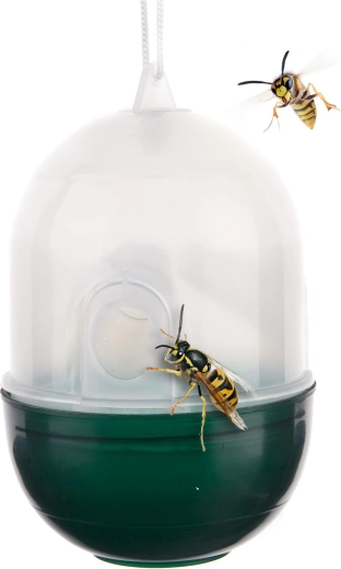 Plastična past za ose prosojna/zelena 8 × 11 cm