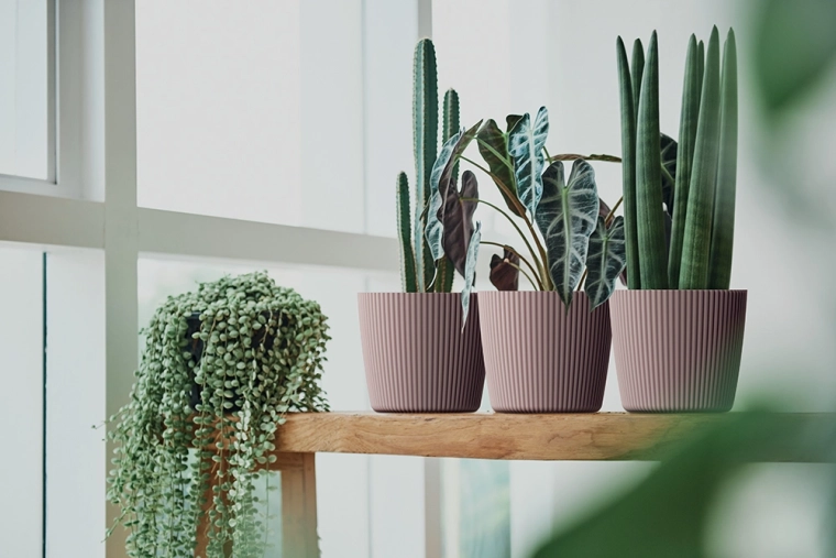 Idealno za dnevno sobo in balkon