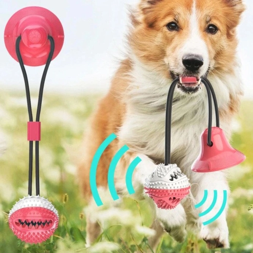 Zdravi zobje in dlesni pri vsaki igri