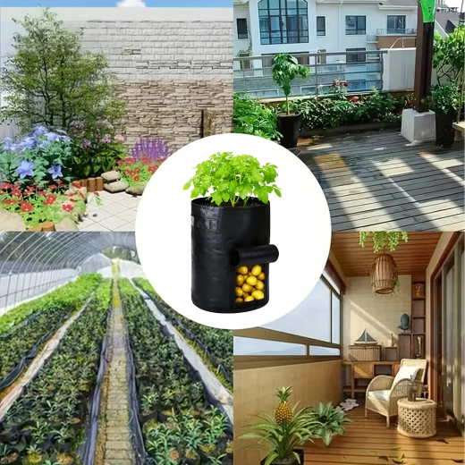 Prenos in gojenje kjerkoli