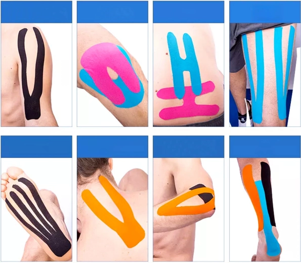 Podpora mišicam in sklepom pri gibanju