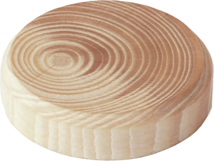 Leseni čepki iz vej 40 × 7 mm, 8 kos