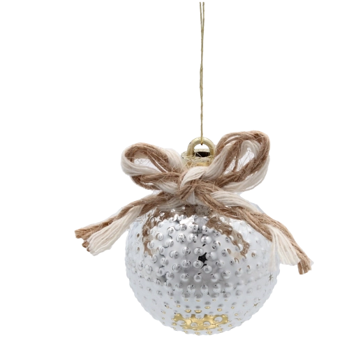 Elegantna srebrna in šampanjska