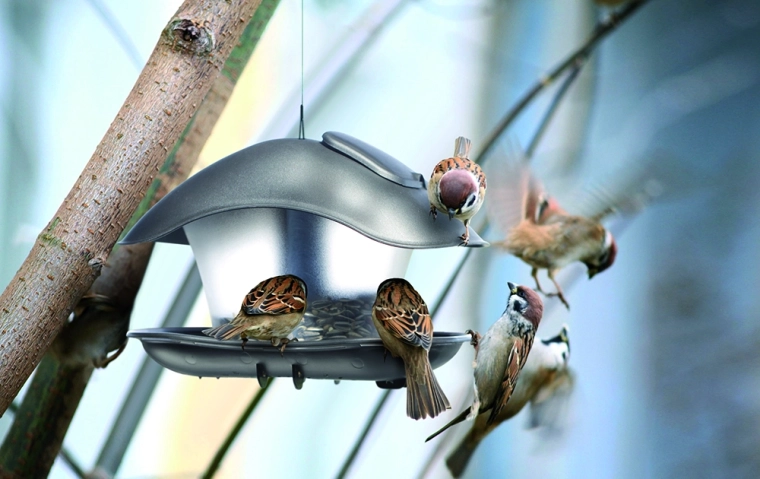 Prozorna posoda za enostaven nadzor nad krmilom