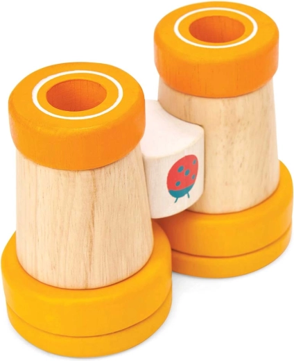 Sustainable wood and safe paints