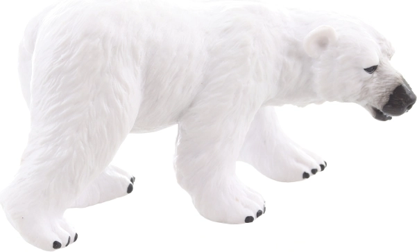 Idealna za zbirko in razstavo