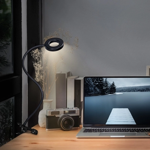Adjustable light for work and relaxation