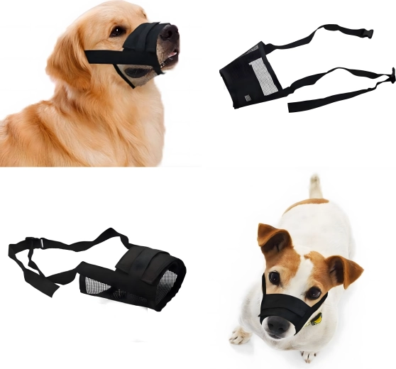 Reliable use for training and travel