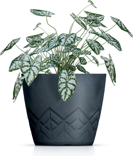 Sodoben rebrast dizajn, ki se poda k interierju