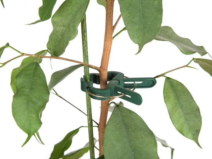 Močna in nežna pritrditev stebel