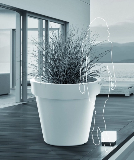 Velik format za izrazite zasaditve