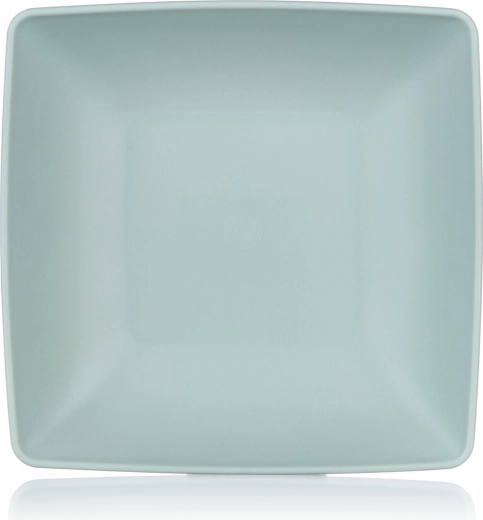 Stilska mint barva in mat videz