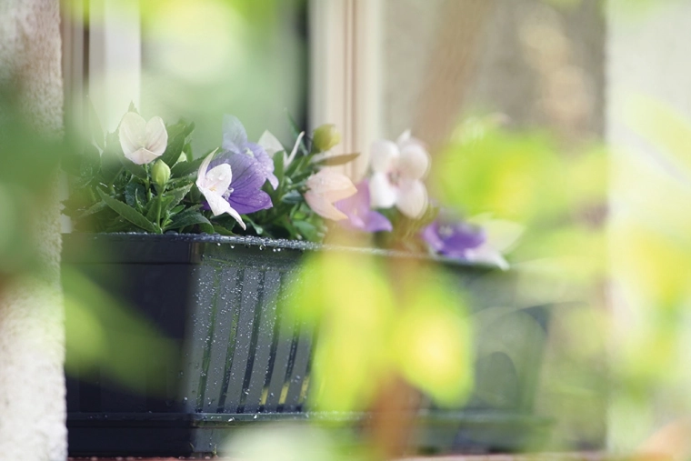 Eleganten antracit za vsak eksterier