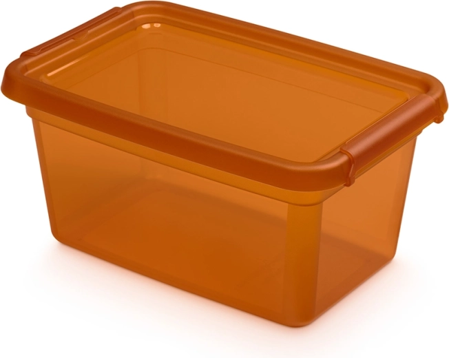 Basestore posoda za shranjevanje s pokrovom in sponkami 4,5 l amber