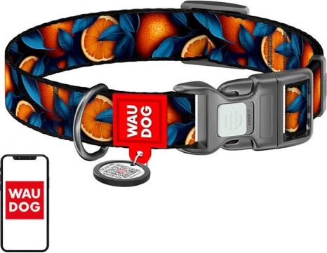 Waudog ovratnica za pse »Oranges« iz najlona z QR kodo, velikost XL