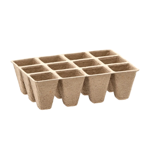 Posadite neposredno v zemljo brez poškodovanja korenin