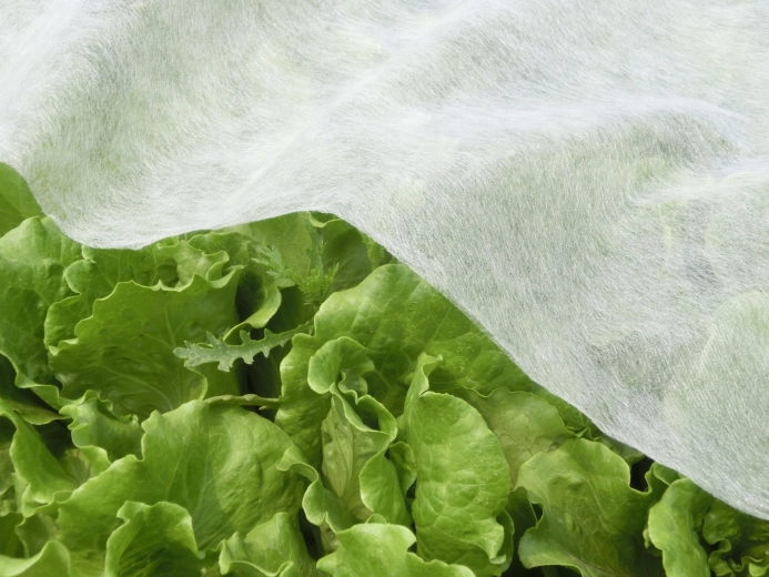 Zračna struktura za zdravo rast