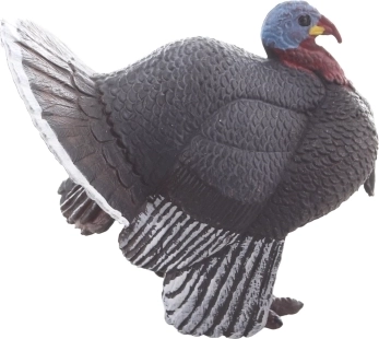 Kompaktna in trpežna