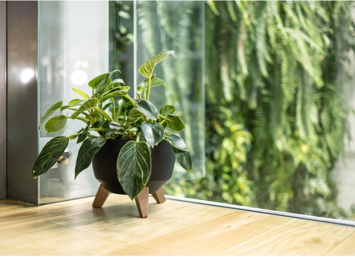 Stabilne nogice v lesnem dekorju