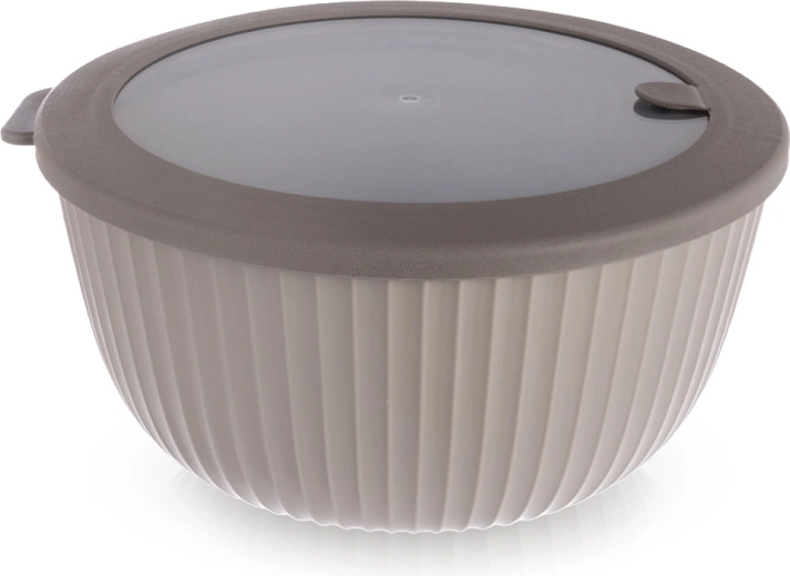 Kuhinjska skleda s pokrovom 21 cm, 2,5 l