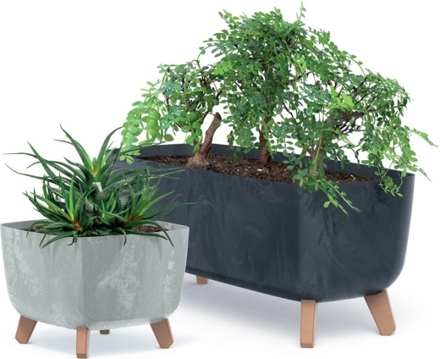 Premišljena rešitev za zdrave korenine