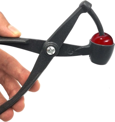 Čisto in hitro izkoščičevanje