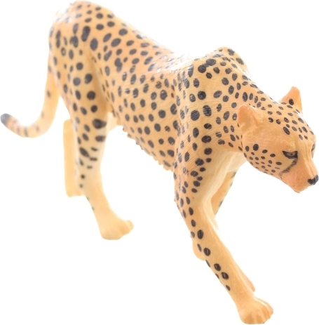 Idealno za učenje in zbiranje