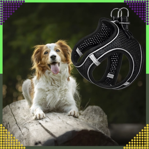 Visoka vidnost zaradi odsevnih elementov