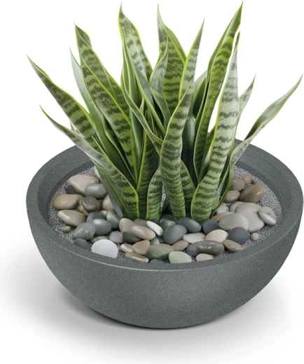 Stilski dodatek za zelenje