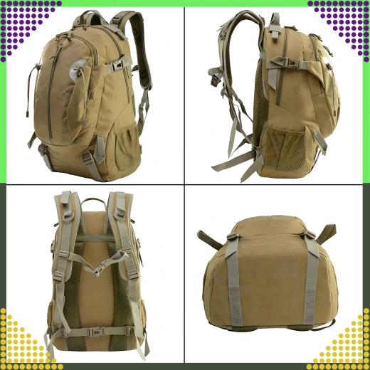 Praktična organizacija in razširitev kapacitete