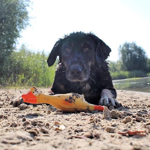 Svetlo rumena barva za enostavno iskanje