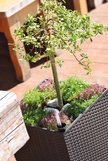 Udobna nega zahvaljujoč odstranljivemu vložku