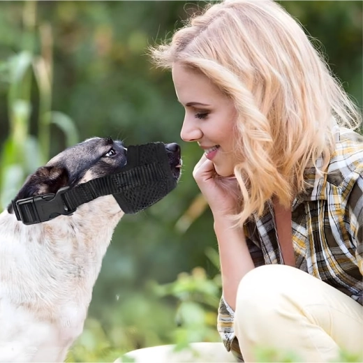 Varnost pri treningu in pri veterinarju