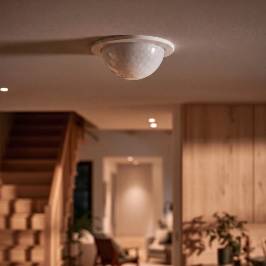 Presence and motion detection (PIR)