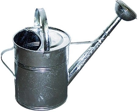 Vrtna pocinkana zalivalka 9 l z rožo