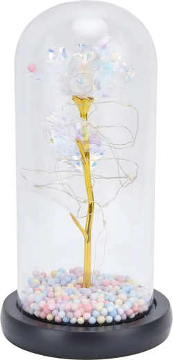 Steklena kupola ščiti in krasi