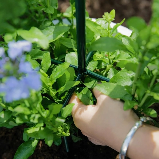 Stabilna opora za zdravo rast