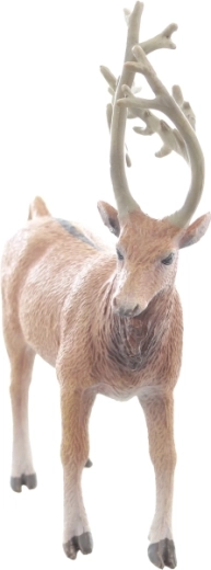 Idealna velikost za majhne roke