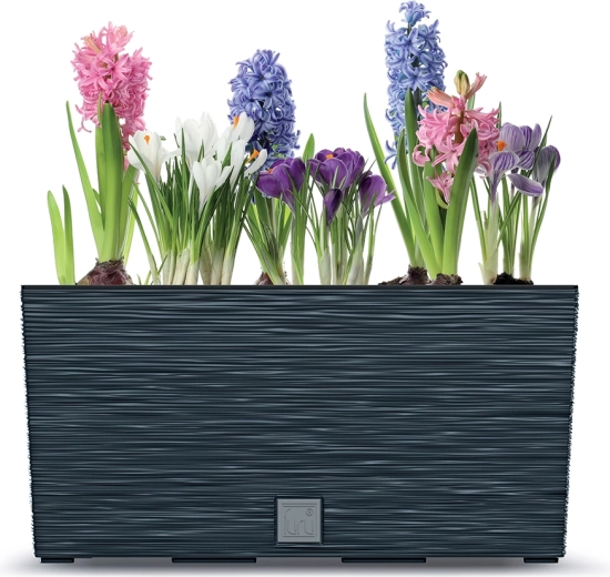 Moderen dizajn z betonsko teksturo