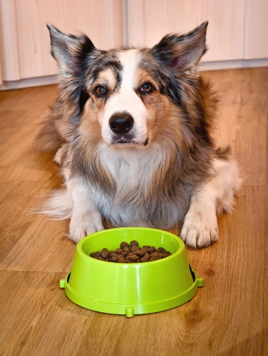 Primerna za vodo in hrano