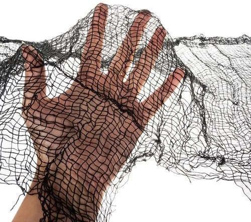 Realistic spider web for a spooky effect