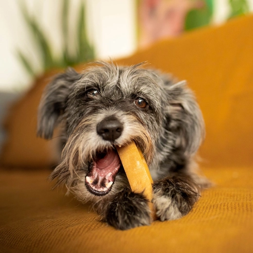Lahko prebavljiv in brez nepotrebnih alergenov