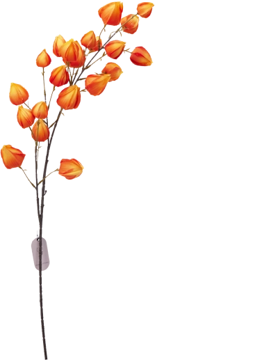 Sintetična dekorativna vejica kremna 97 cm