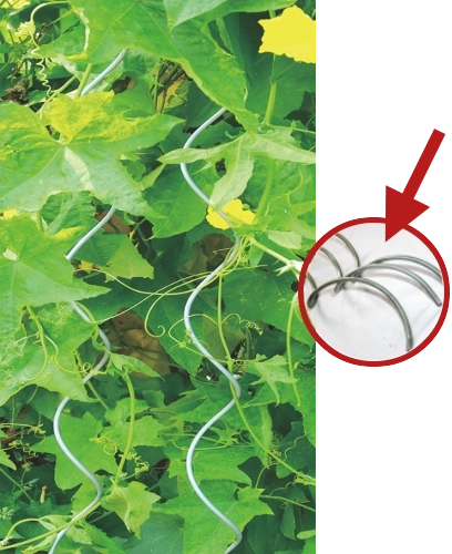 Aluminijasta spiralna palica za rastline 10 mm, 180 cm