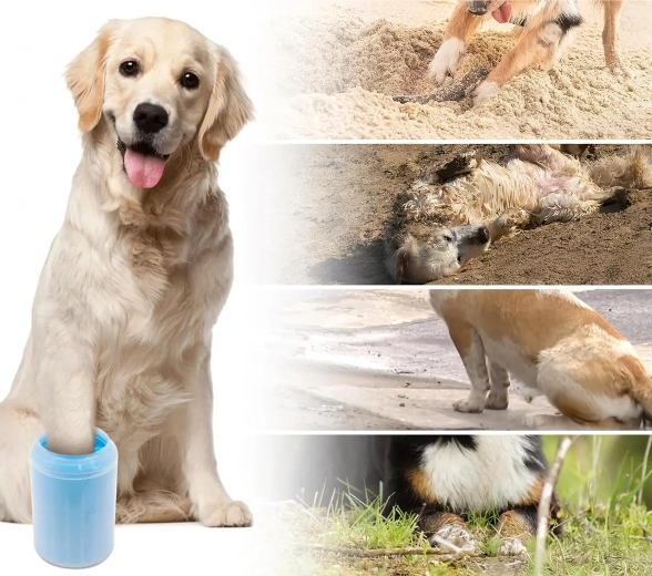 Čisto vozilo in tla po vsakem sprehodu