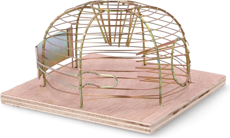 Humano in varno ujetje