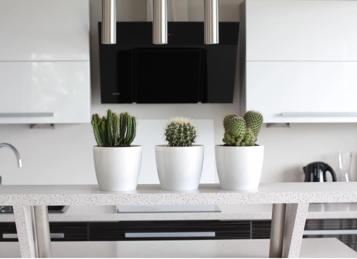 Vsestranski za notranjost in zunanjost